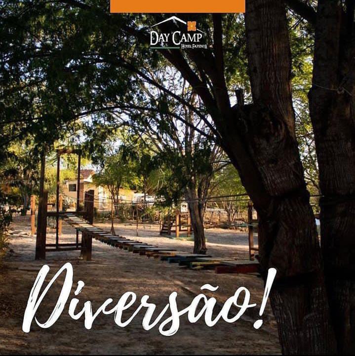 Área de convivência arborizada do Day Camp